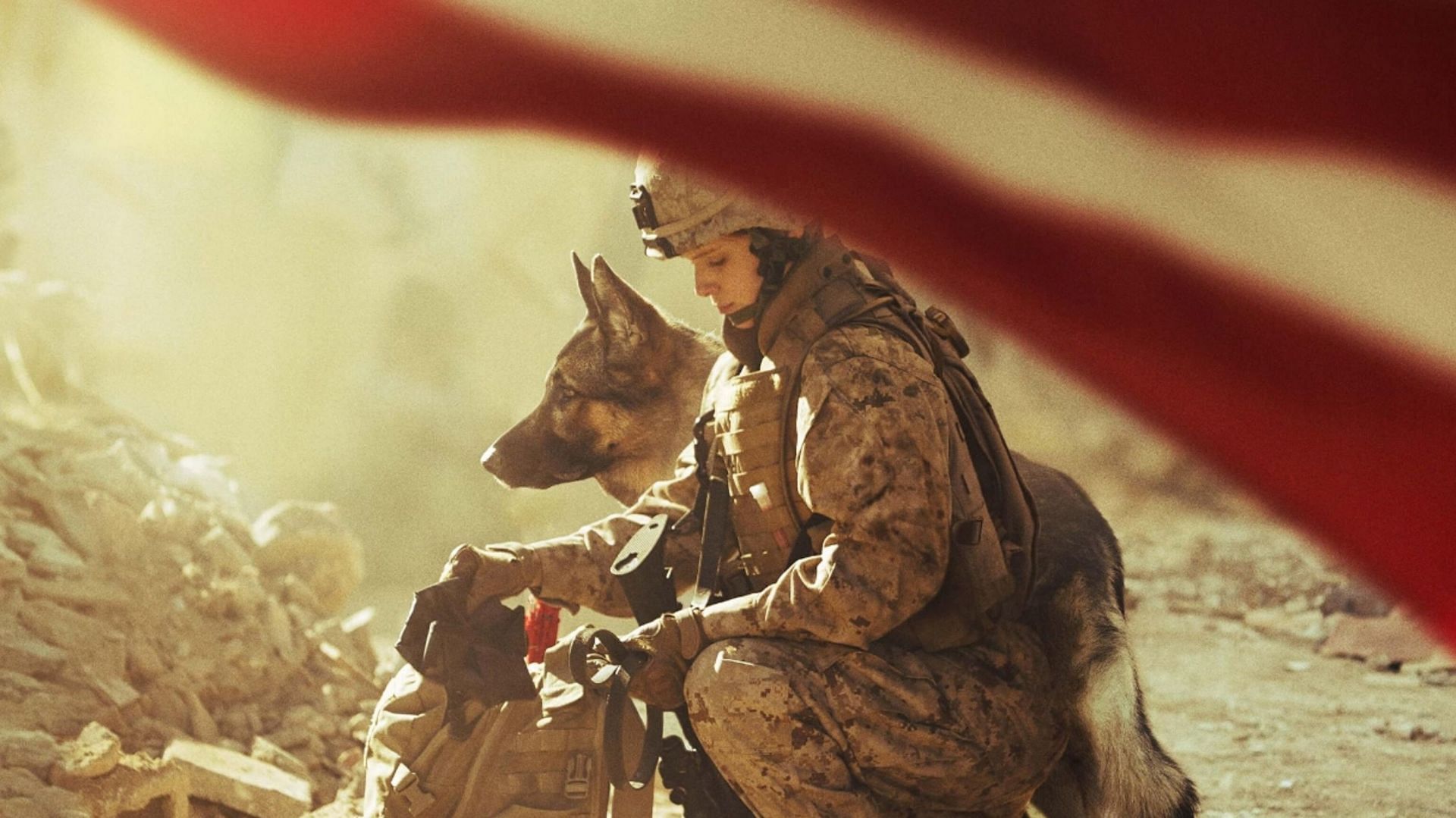 Megan Leavey (image via LD Entertainment)