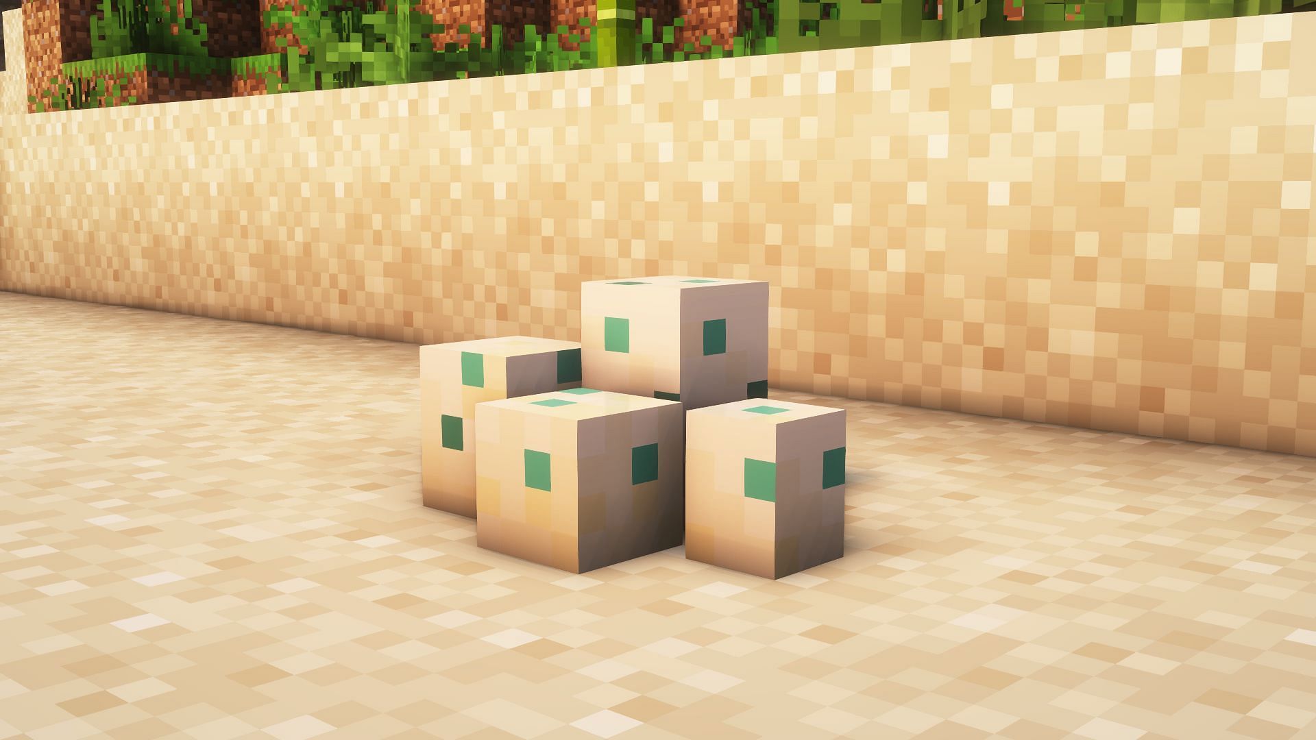 Turtle eggs can appear after two turtles breed (Image via Mojang Studios)