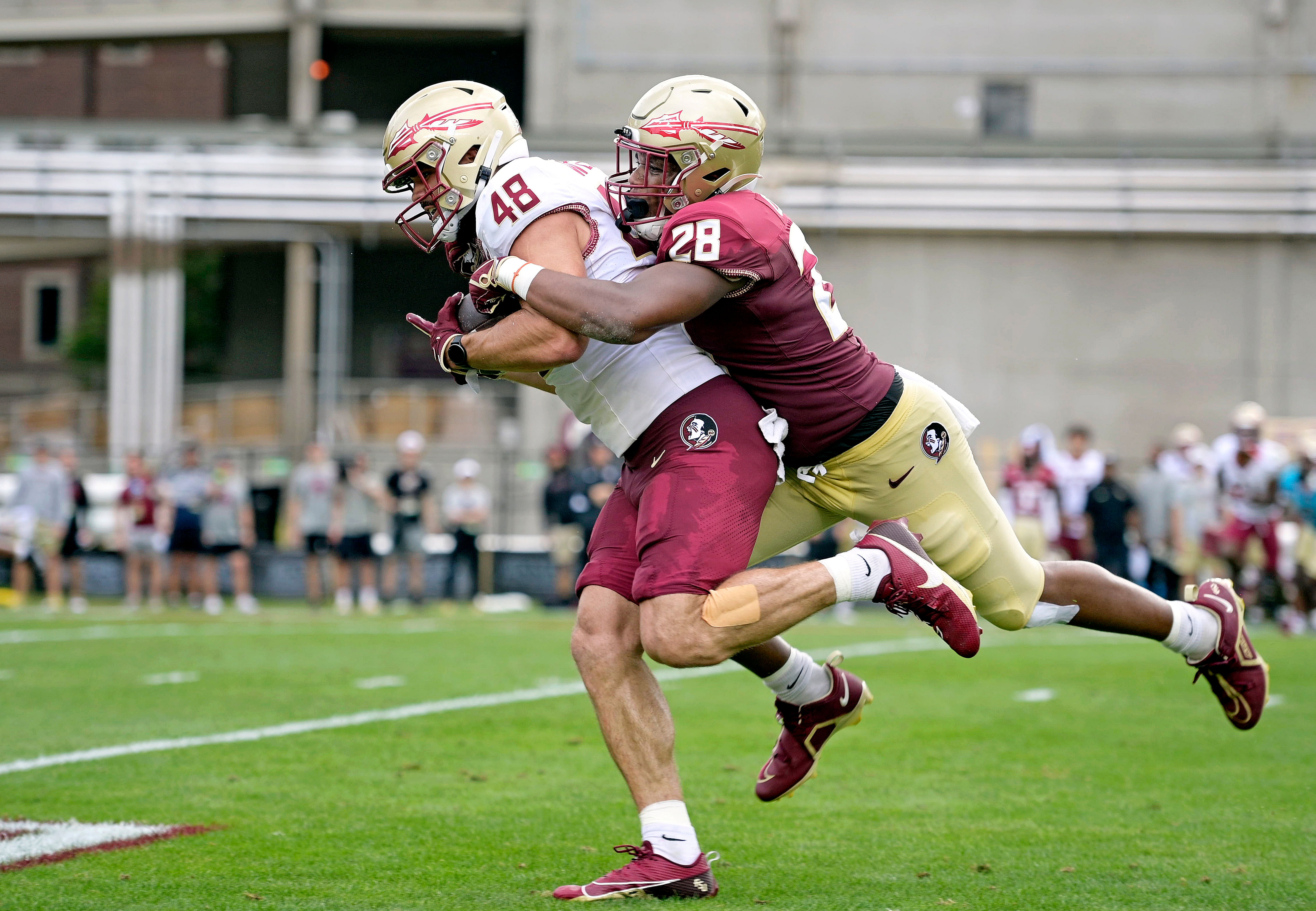 NCAA Football: Florida State - Source: Imagn