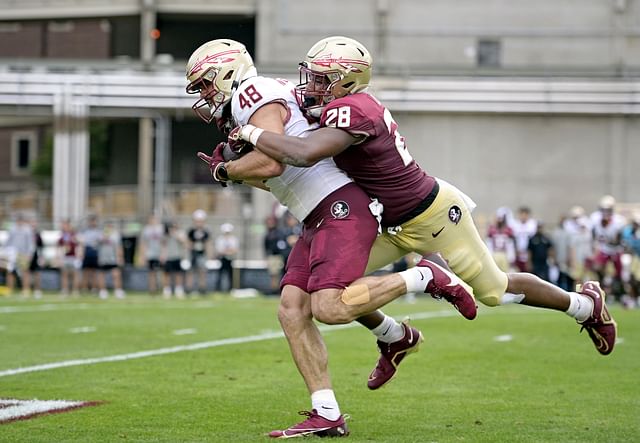 NCAA Football: Florida State - Source: Imagn