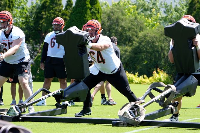 WATCH: Logan Wilson, Ted Karras throw hands as Bengals training camp descends into fist-fight