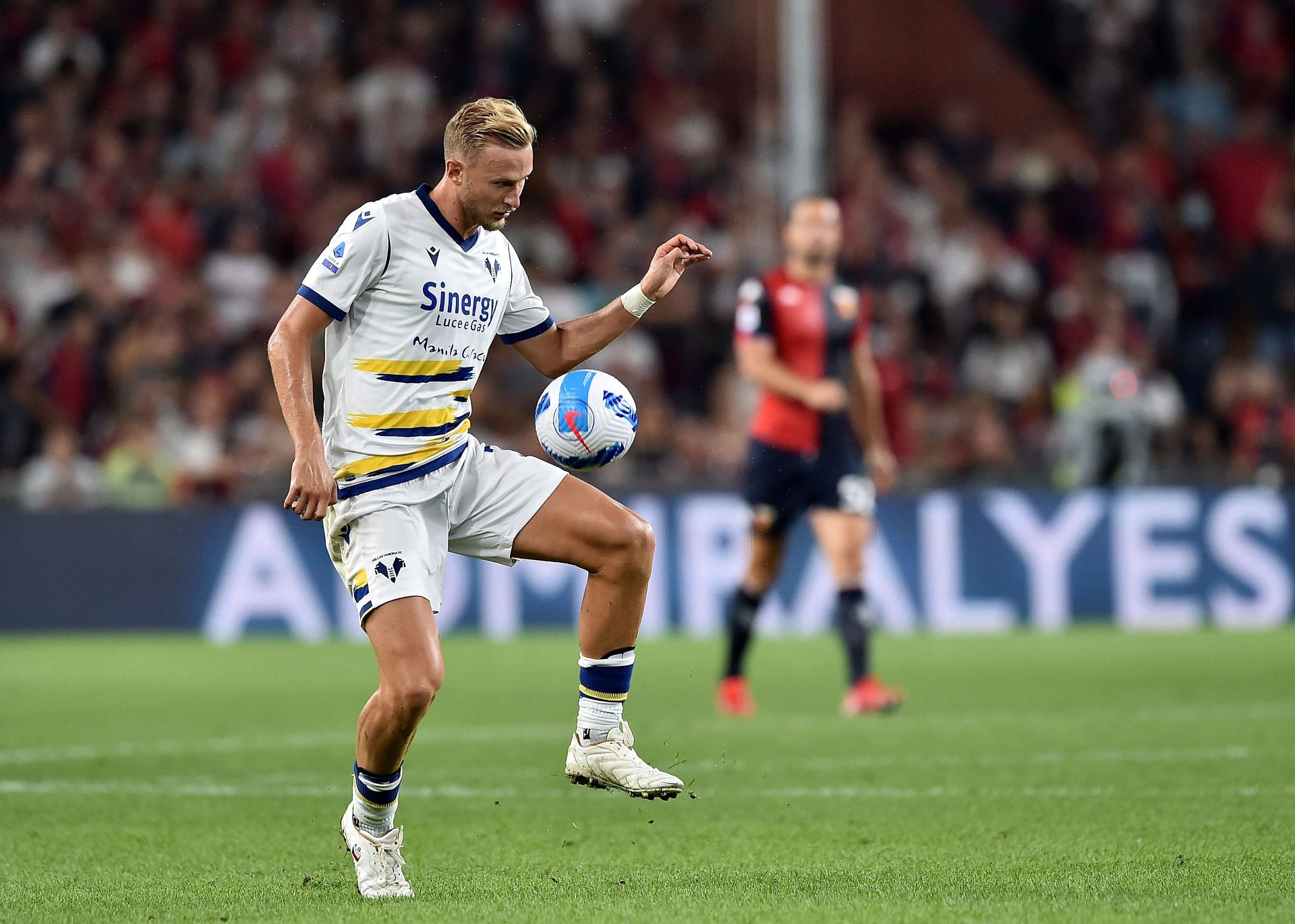 Genoa CFC v Hellas Verona FC - Serie A - Source: Getty