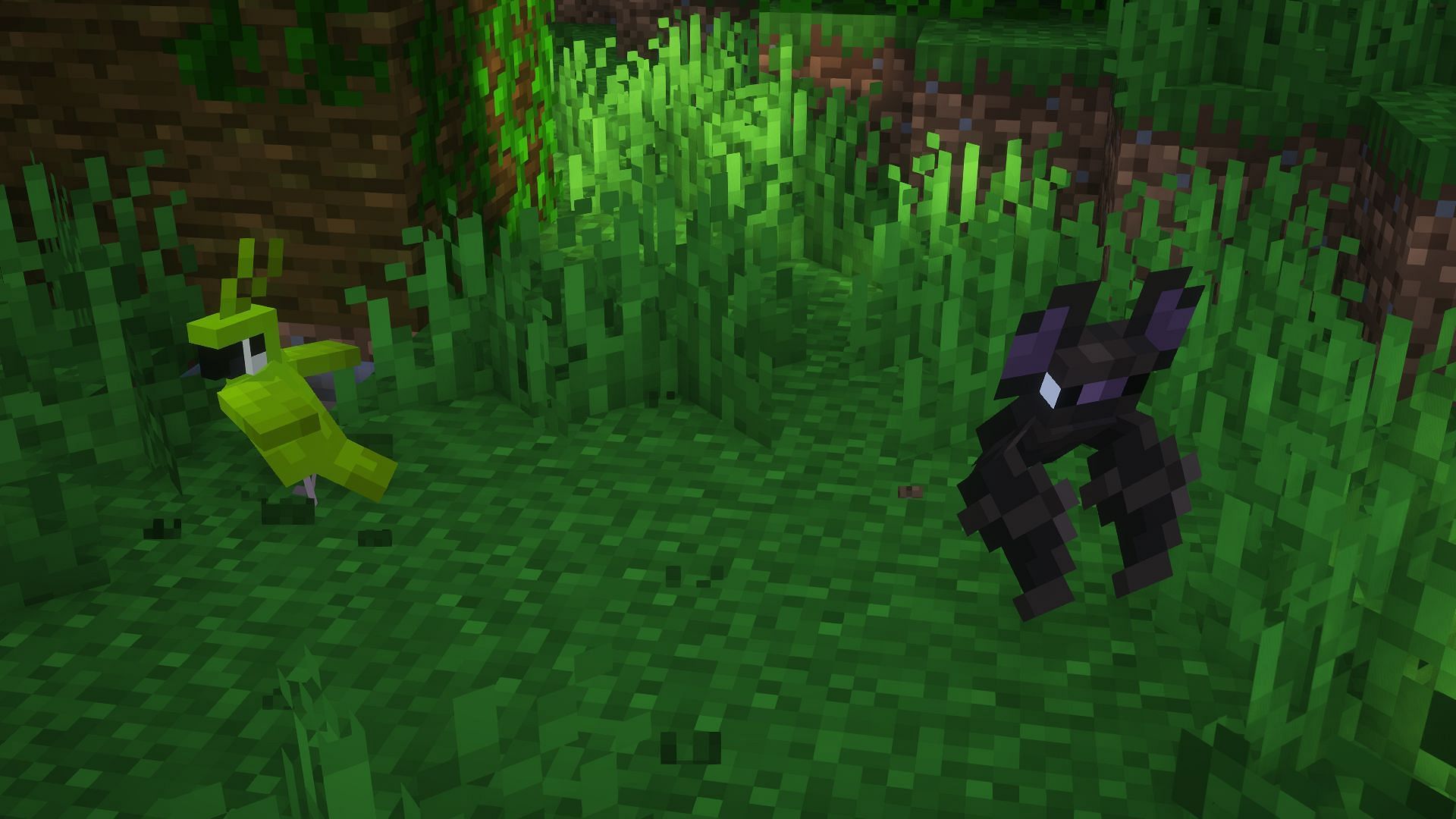 A parrot and bat flying near each other (Image via Mojang)