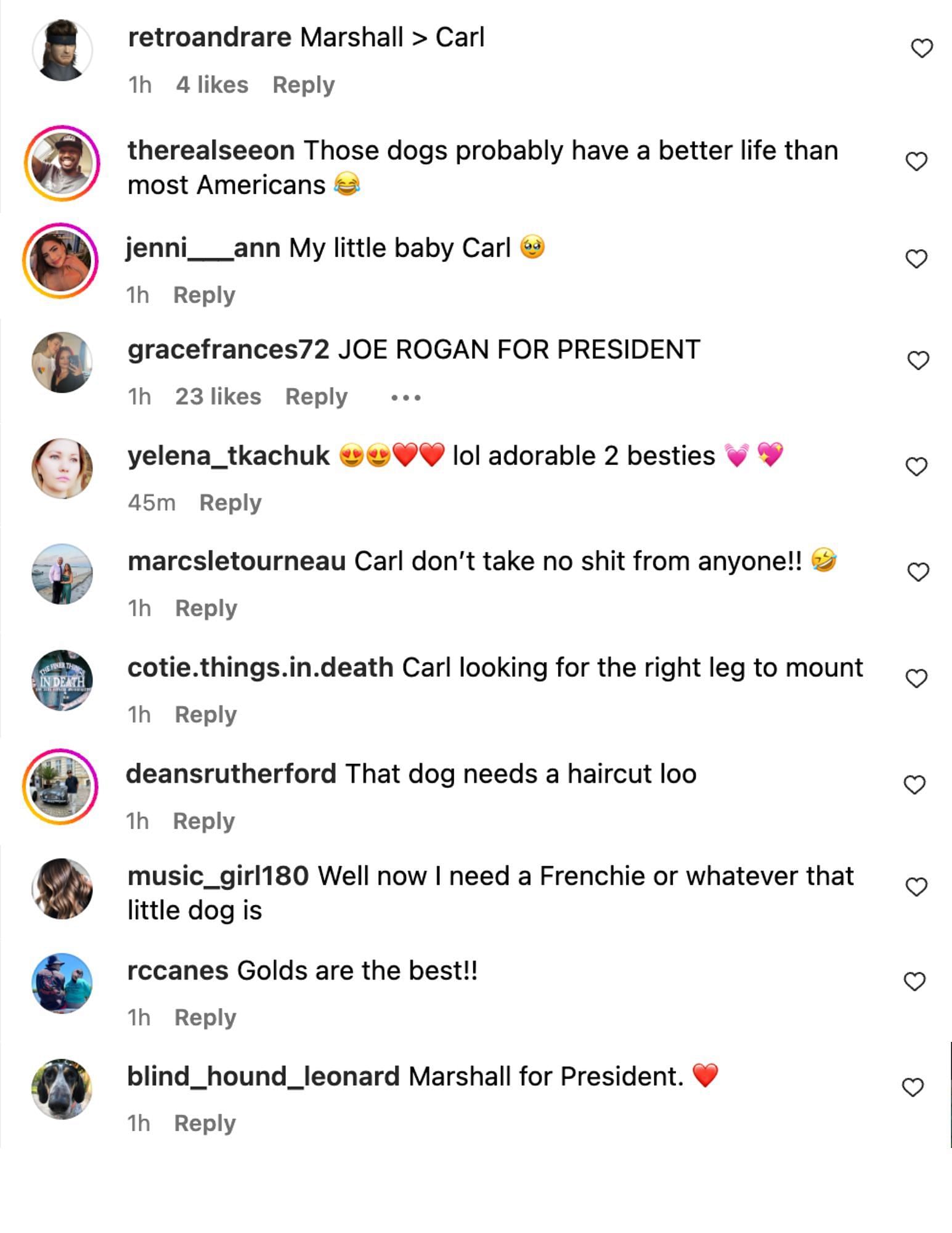 Fans react to Joe Rogan&#039;s recent Instagram video. [Images courtesy: @joerogan on Instagram]