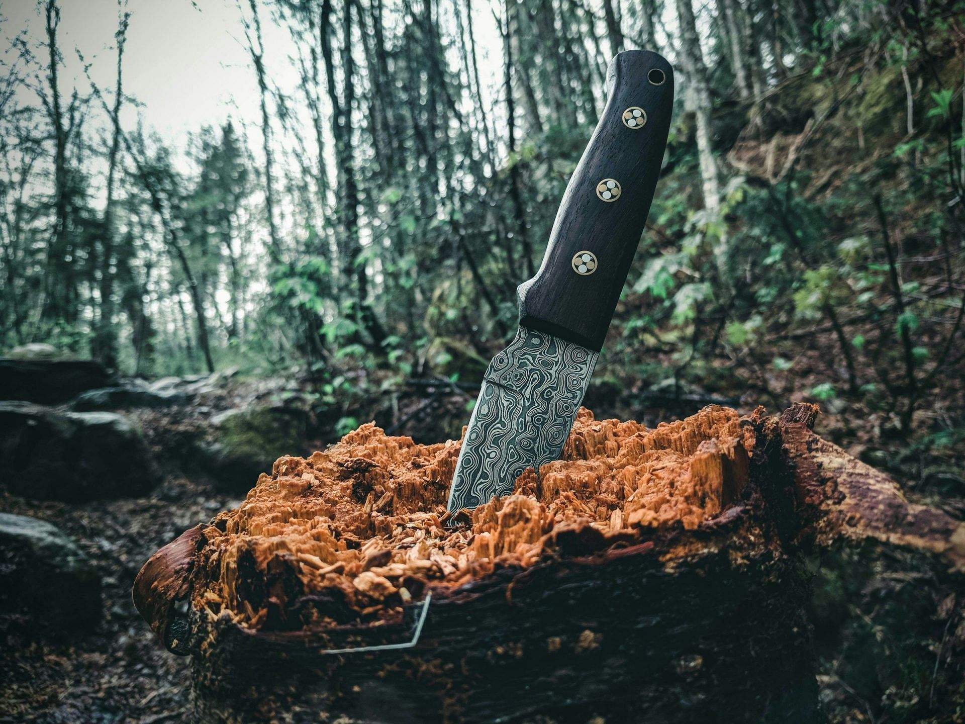 Knife (Image sourced from Unsplash)