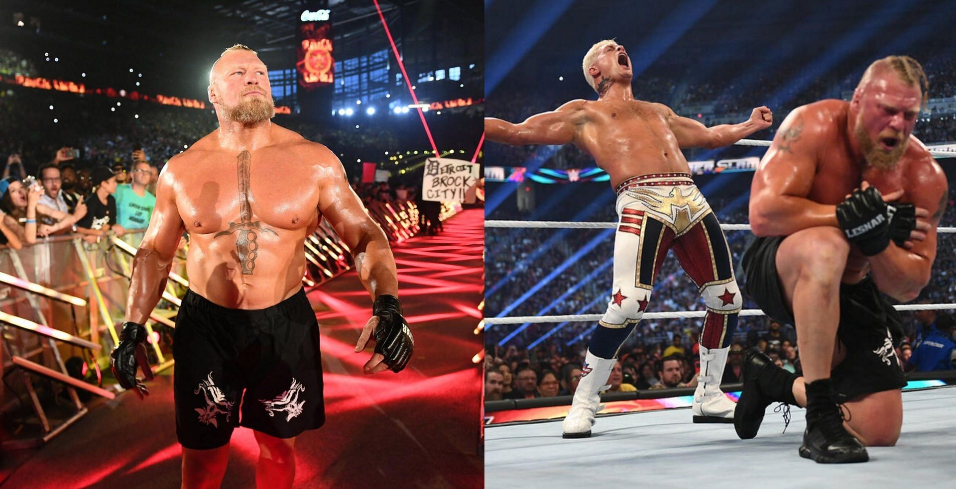 wwe