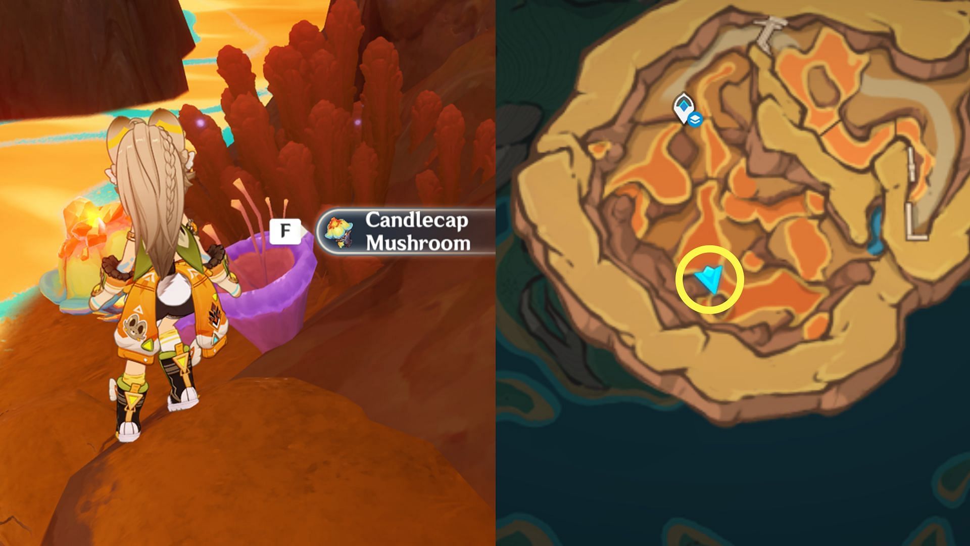 Location of Candlecap Mushroom #5 (Image via HoYoverse)