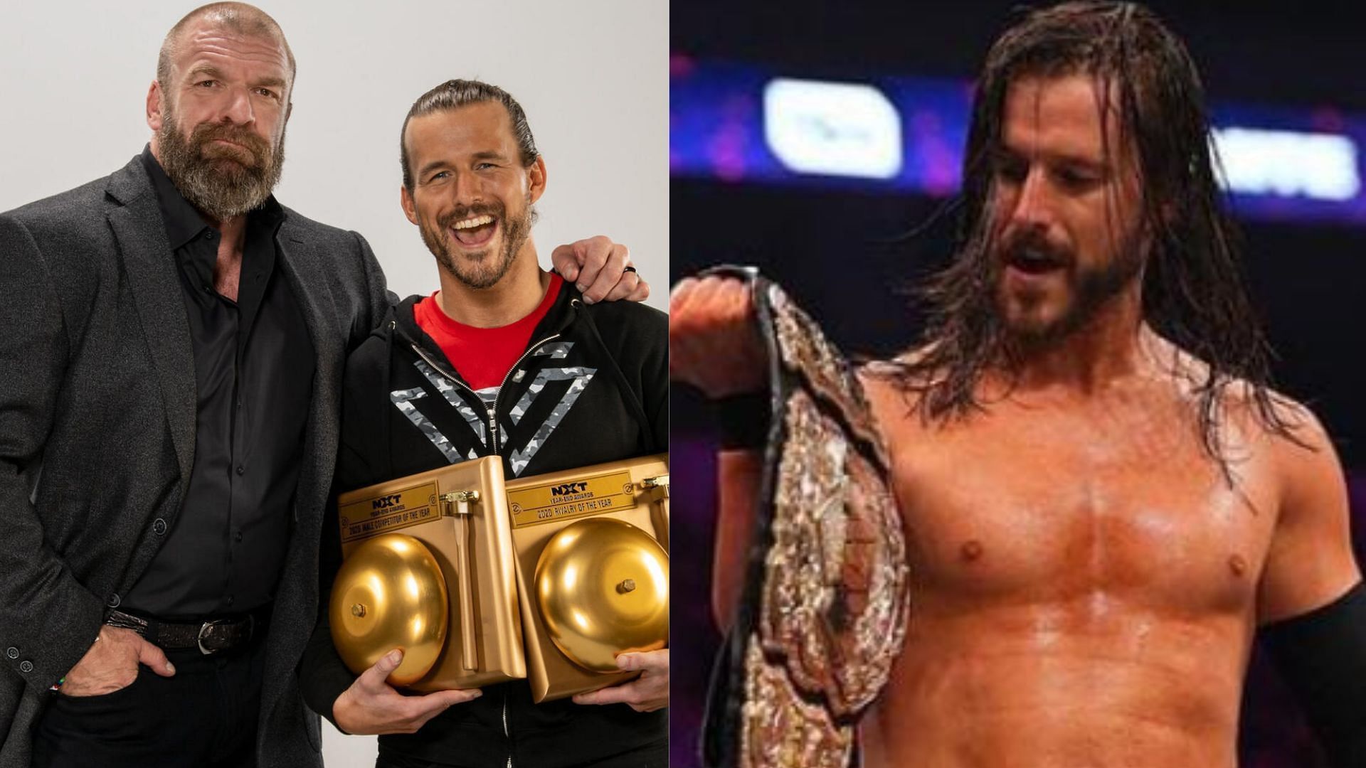 There are many stars in All Elite Wrestling that were better utilized when they were in WWE. [Image credits: WWE Gallery and Adam Cole