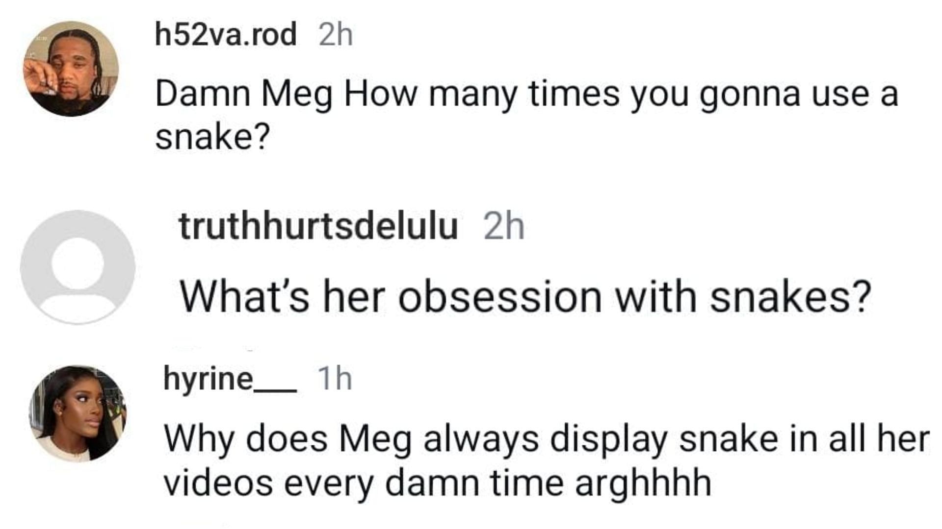 Netizens reacted as Megan Thee Stallion released her latest video (Image via Instagram/@h52va.rod, @truthhurtsdelulu, @hyrine_)