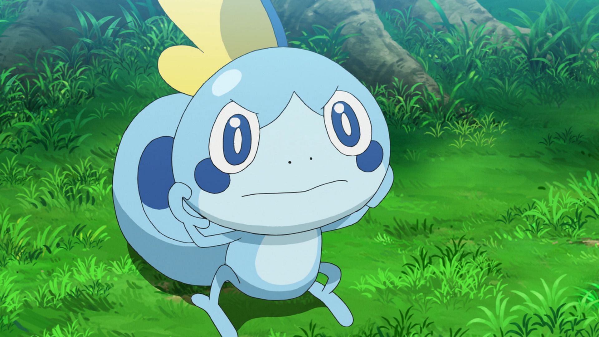 Sobble&#039;s base design is inspired by a veiled chameleon (Image via TPC)