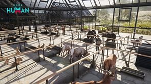 Once Human patch 1.1 official notes: Animal ranching, controller support, and more