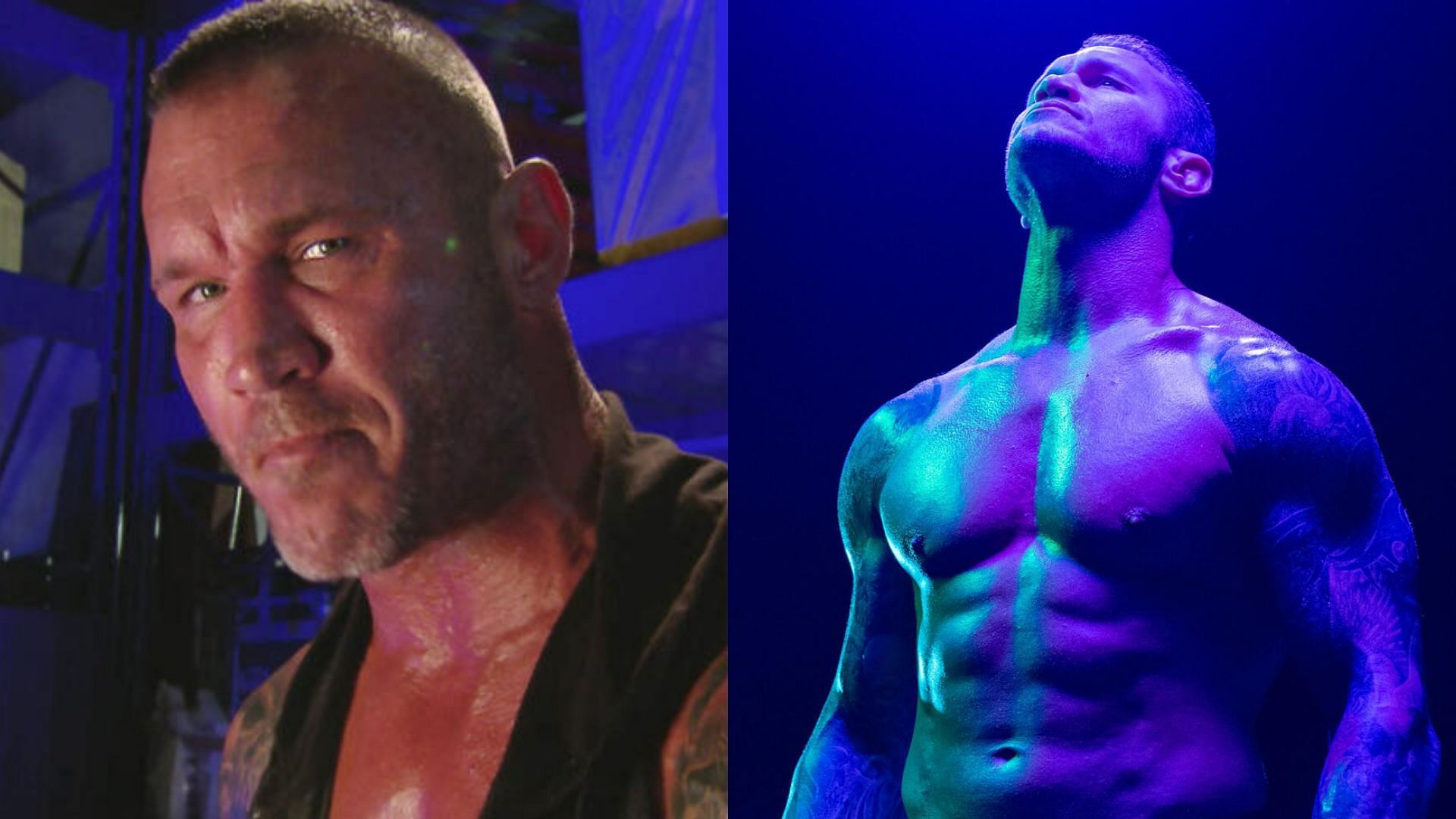 The star was left hurting (Credit: WWE.com)