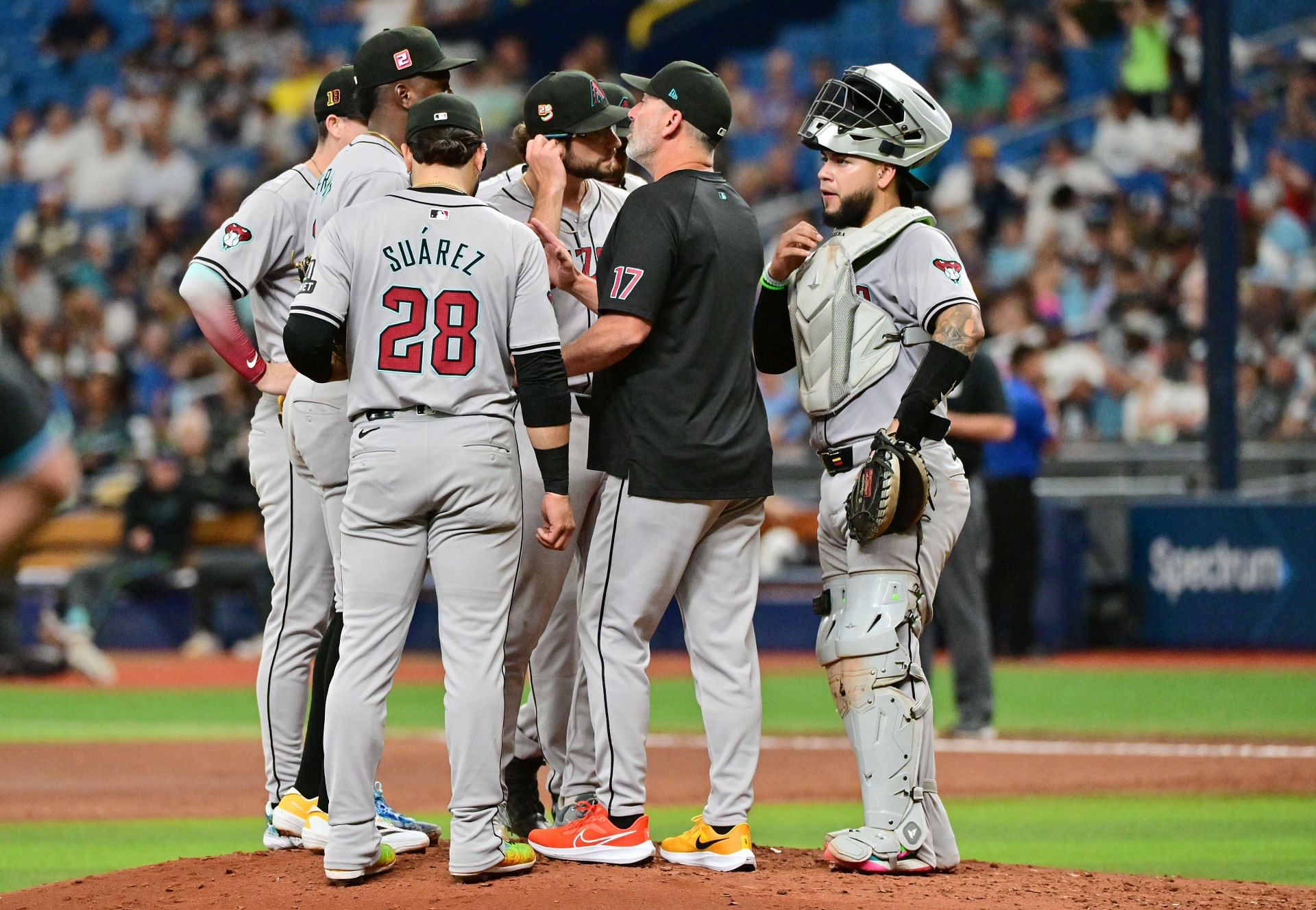 Arizona Diamondbacks v Tampa Bay Rays