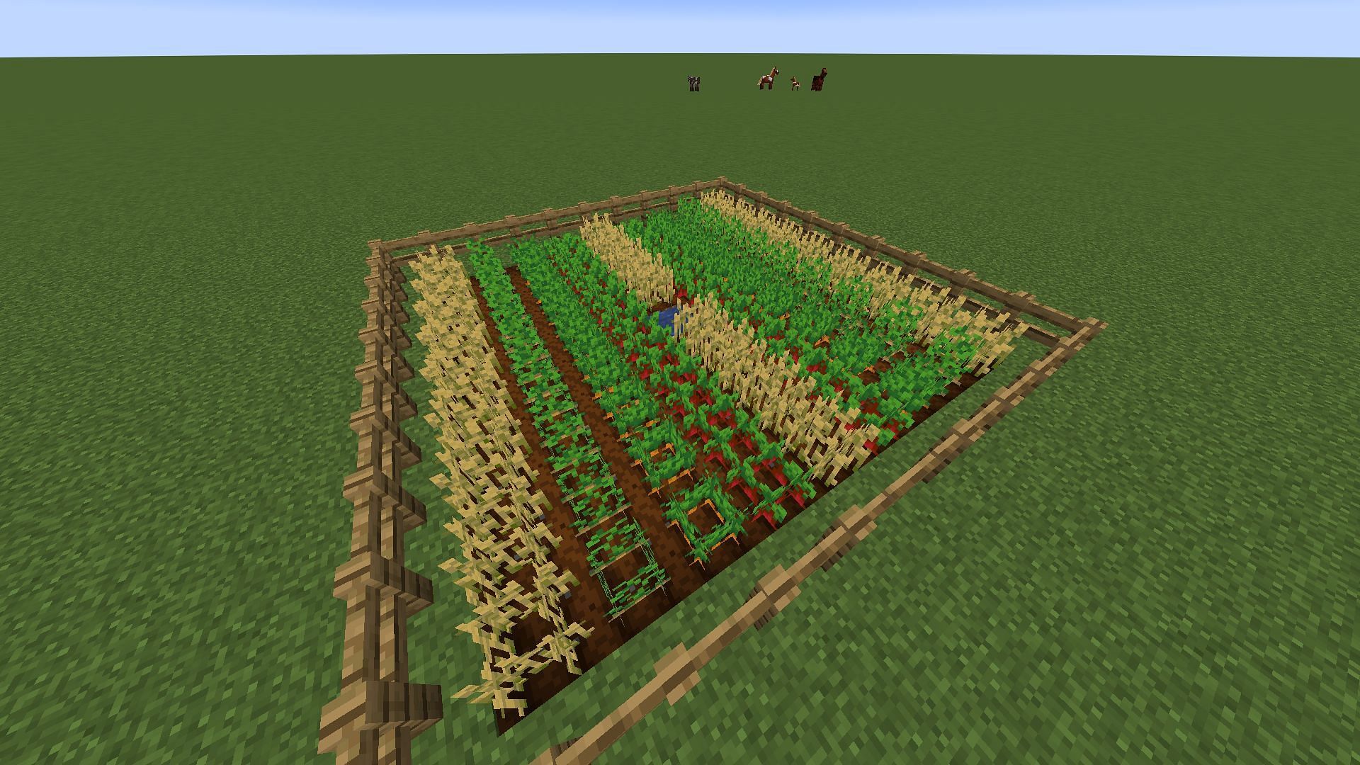 Alternating rows of crops encourages accelerated growth in Minecraft (Image via Mojang)