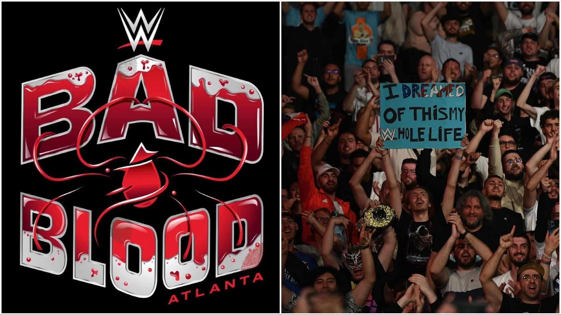 The official WWE Bad Blood logo, The WWE Universe at SmackDown