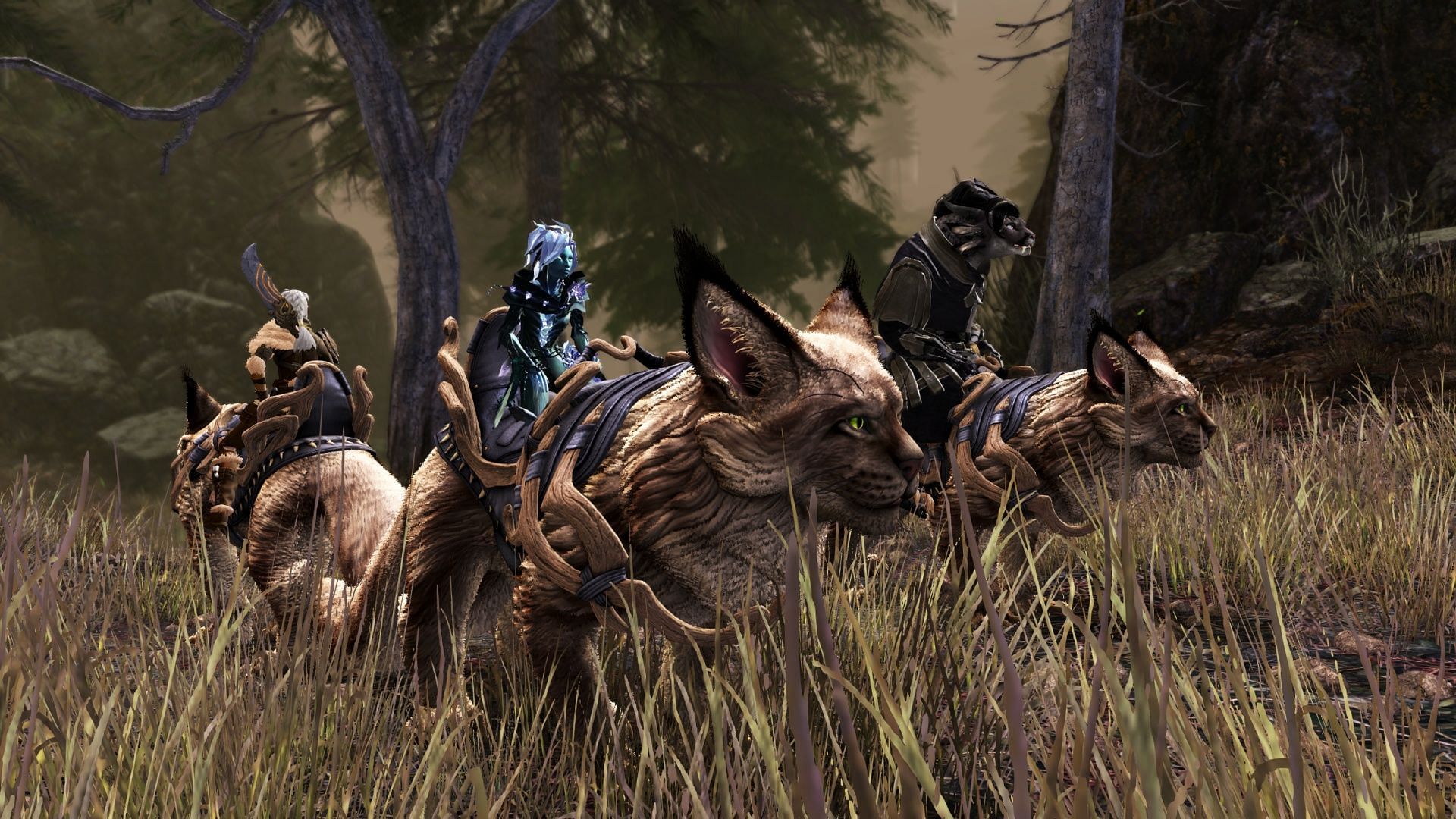 Warclaws are my favorite mount in the game (Image via ArenaNet)