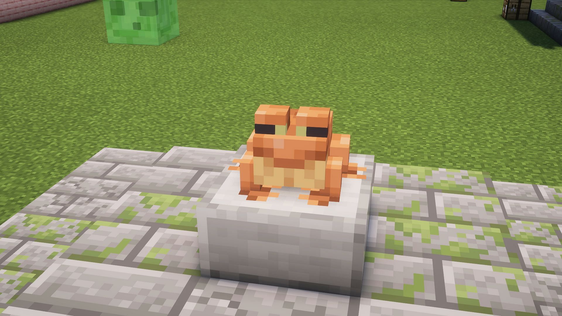 Frogs are cute enough to have shaken off most of their bad reputation (Image via Mojang)