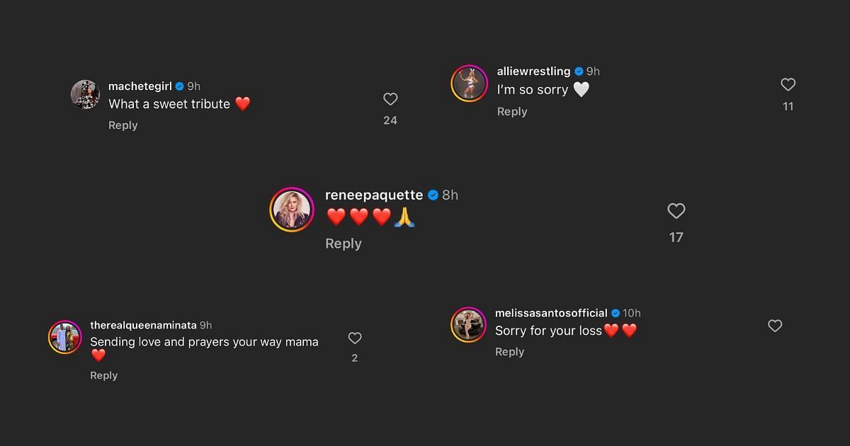 Screenshots of comments under Maria&#039;s post on IG