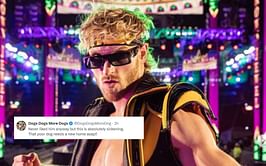 Logan Paul issues statement after being accused of pushing his pet dog off boat, releases slo-mo video