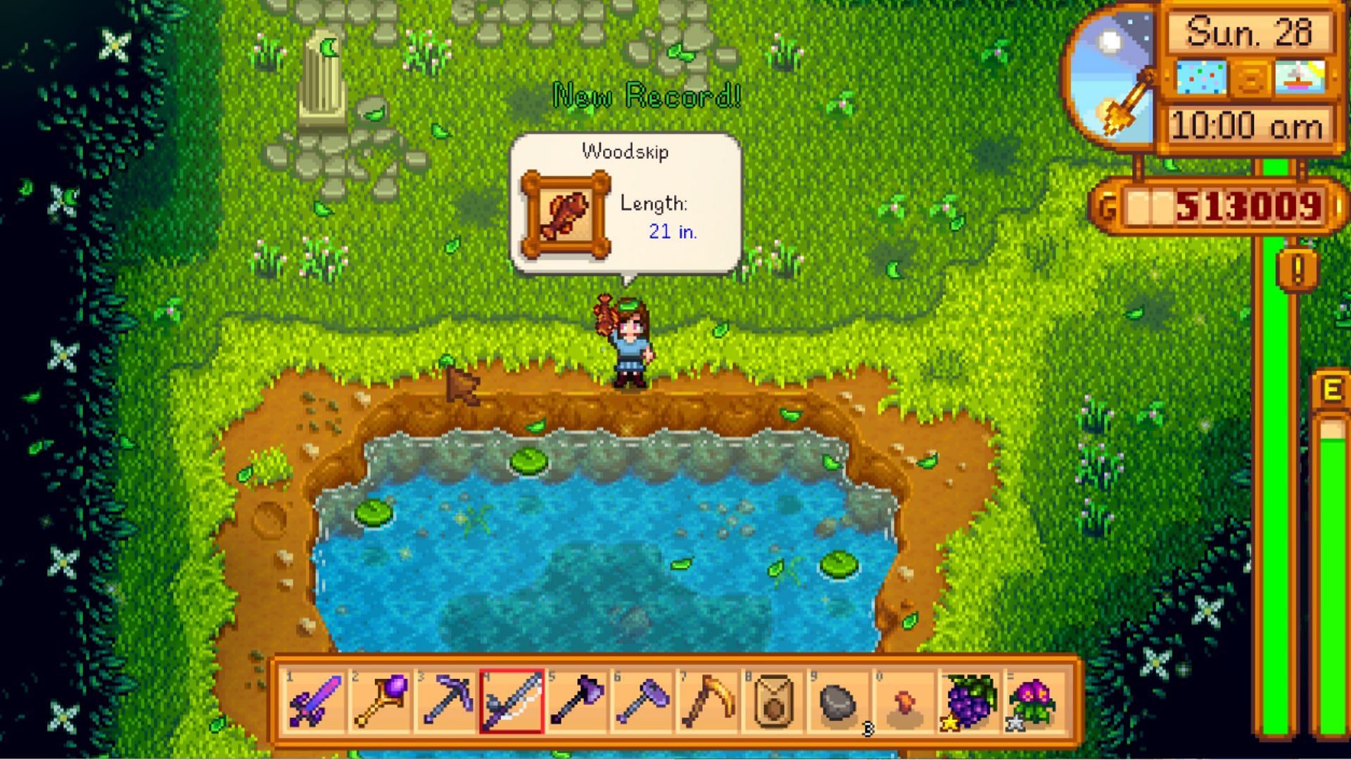 A guide for finding Woodskip in Stardew Valley (Image via ConcernedApe)