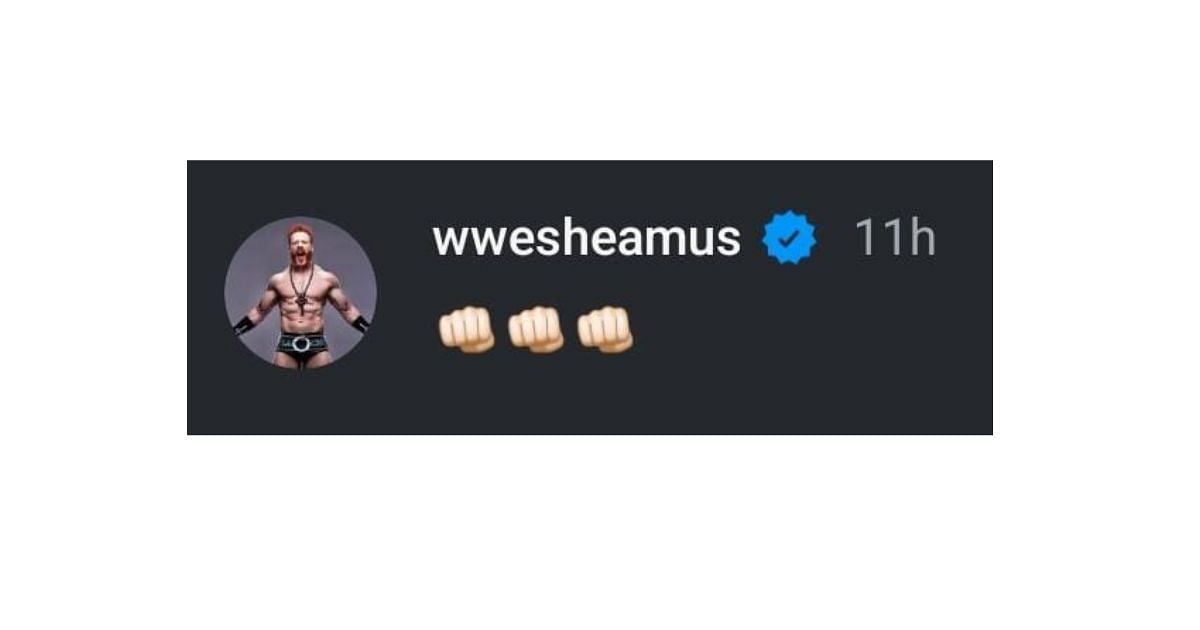 Sheamus&#039; comment on Adam Copeland&#039;s Instagram post