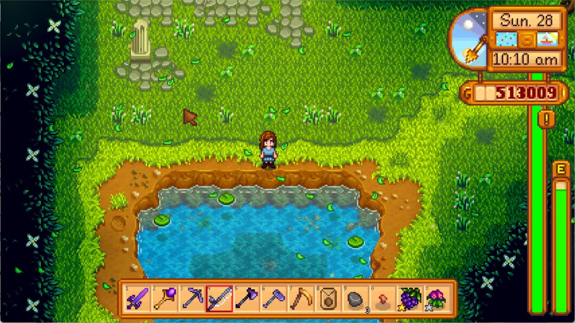 Fish in the Forest Farm or Secret Woods to find Woodskip (Image via ConcernedApe)