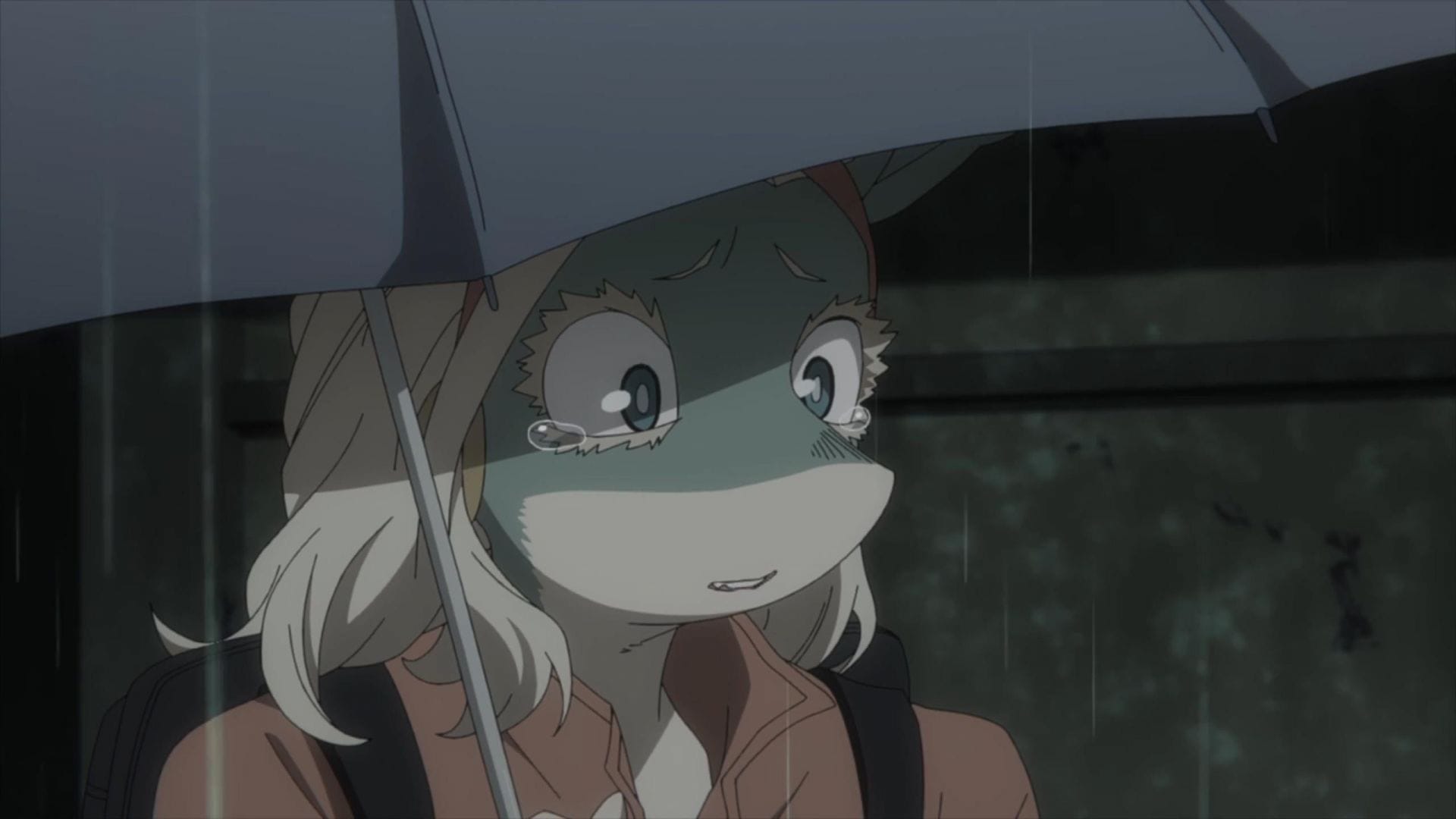 My hero academia ordinary woman