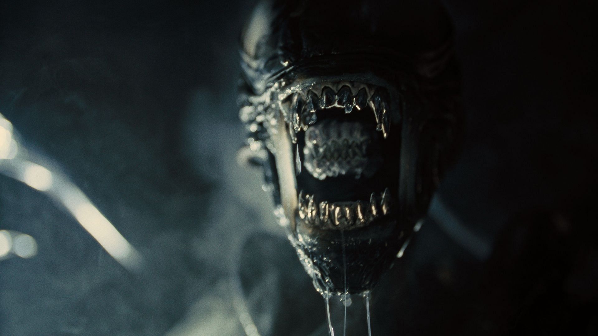 The Xenomorph in Alien: Romulus (Image via Disney)