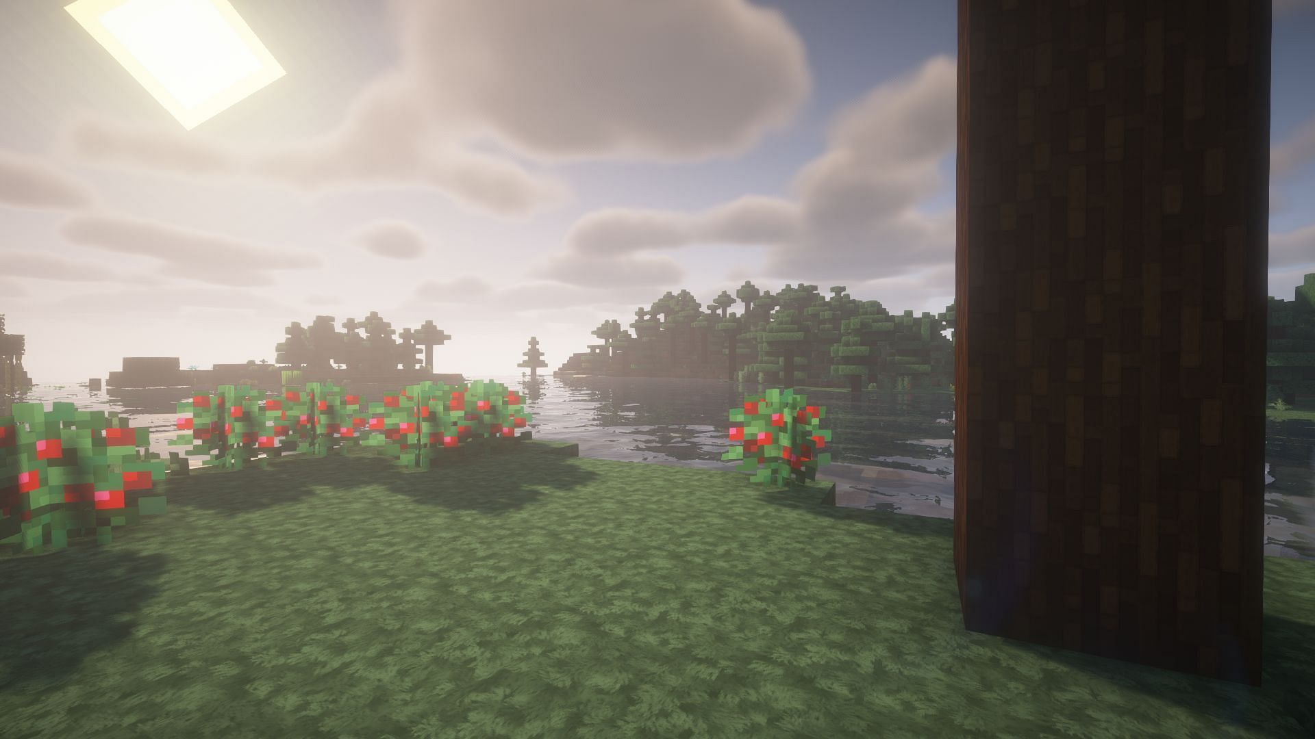 These texture packs can combine with shaders to make Minecraft feel like a totally different game (Image via Mojang)