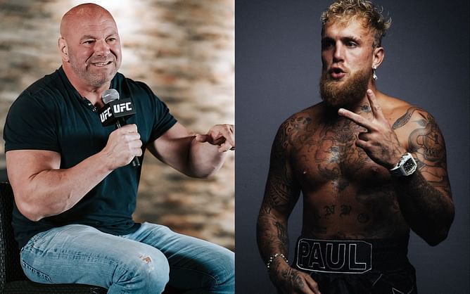 Dana White reacts to Jake Paul calling out Alex Pereira after beating Mike Perry