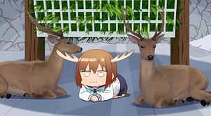 My Deer Friend Nokotan episode 5: Nokotan's personal life finally revealed as Neko visits the Deer Club to look for Torako's weakness