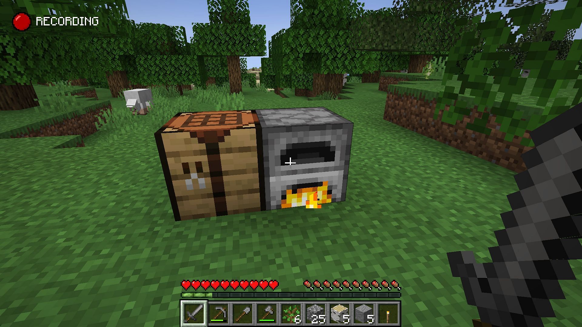 The recording indicator at the top of the screen (Image via Mojang)