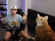 "His cat was so confused like him" - Fans react as Twitch streamer and his cat experience LA earthquake live on stream