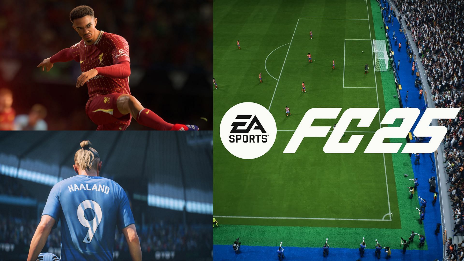 Top 50 players fromn Premier League in EA FC 25 (Image via EA)