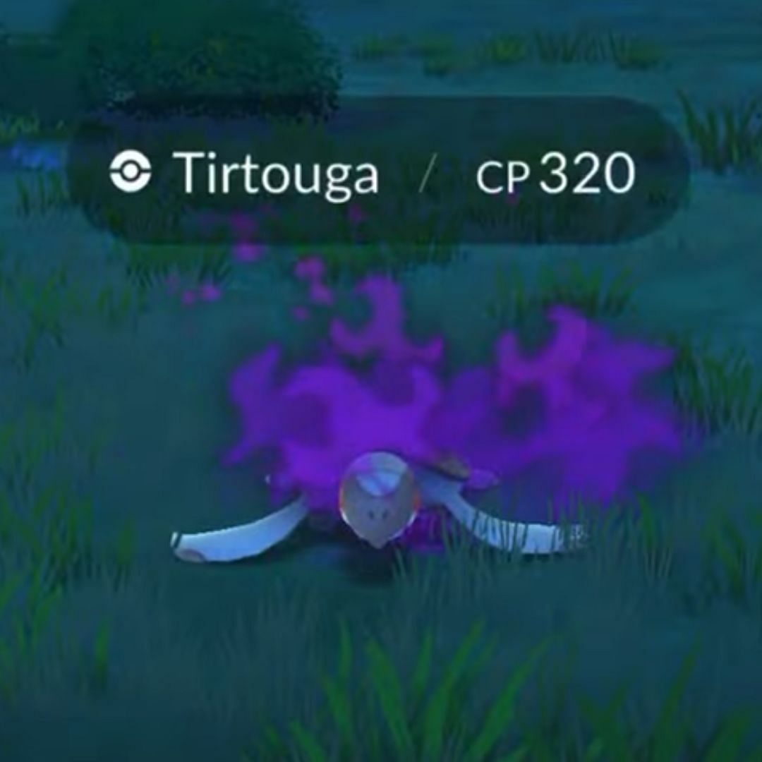 Shadow Tirtouga (Image via TPC)