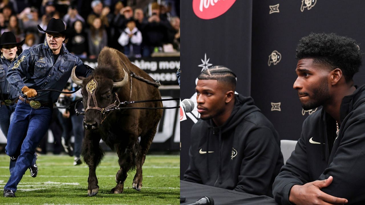 Why is Colorado called the Buffaloes? Details about mascot Ralphie and more