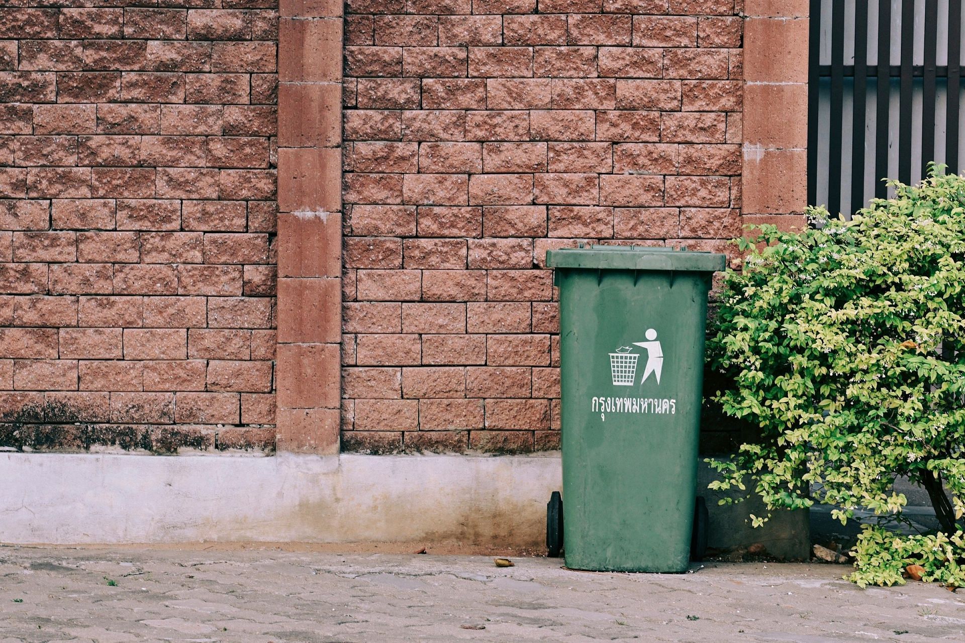 Selma&#039;s body was found in a garbage can (Image by Yoneken/Unsplash)