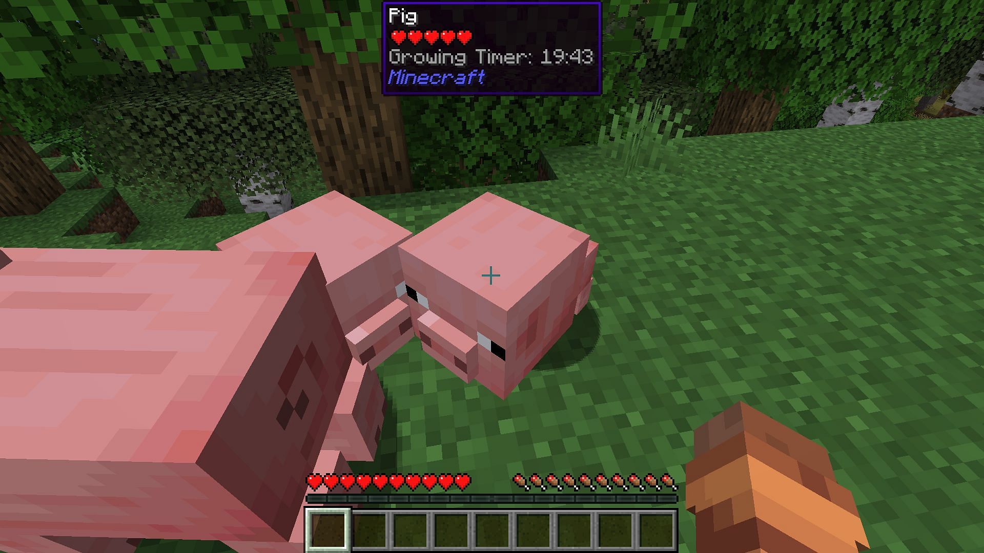 WTHIT also gives information relating to mobs (Image via Mojang)