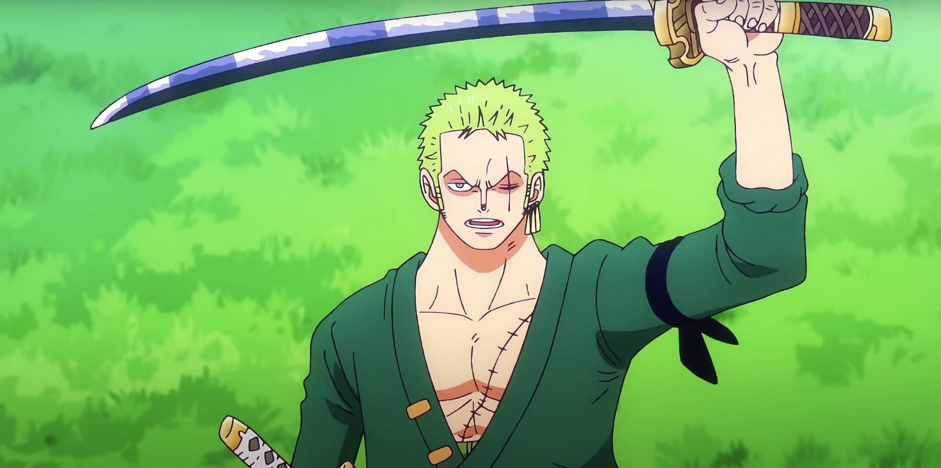 Roronoa Zoro as seen in anime (Image via Toei Animation)