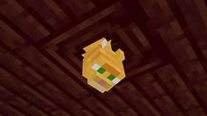 Where do Minecraft screenshots go?