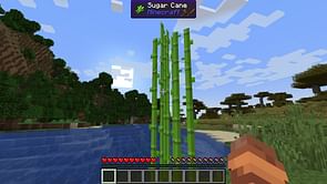 Minecraft WTHIT mod: Features, download guide, and more