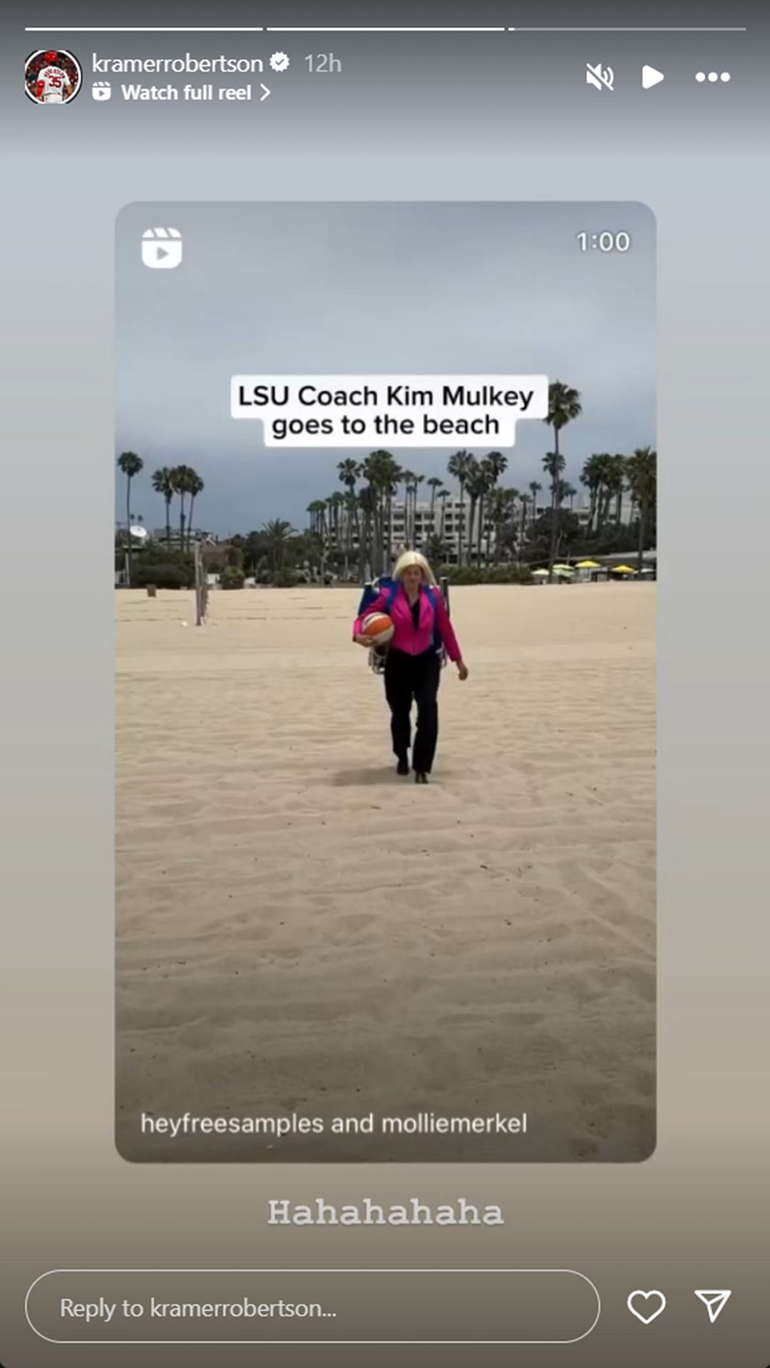 Kim Mulkey&#039;s son Kramer posts on his Instagram story (IG: Kramer Robertson)