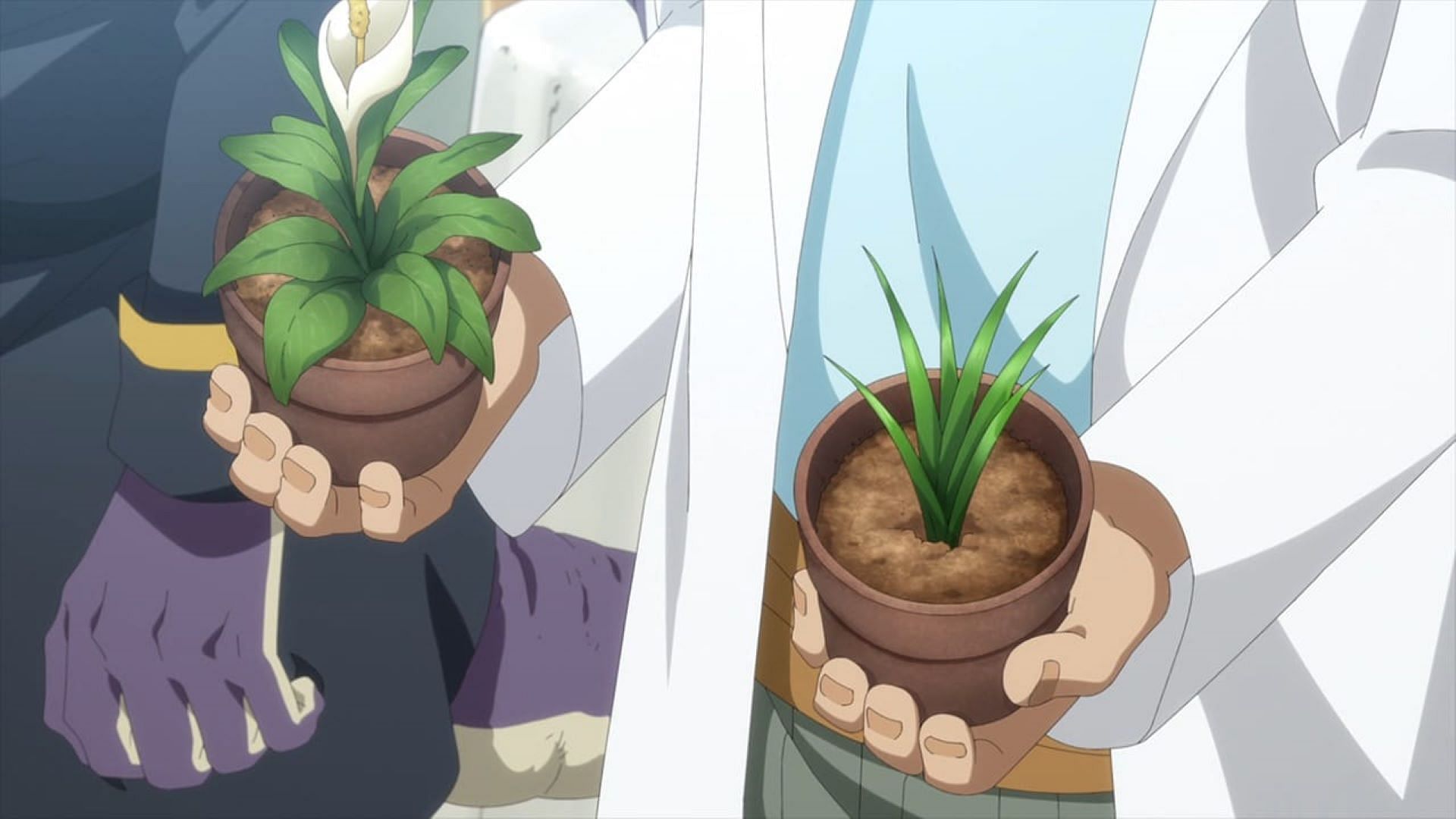 Hipokute plants and normal plants (Image via 8Bit)