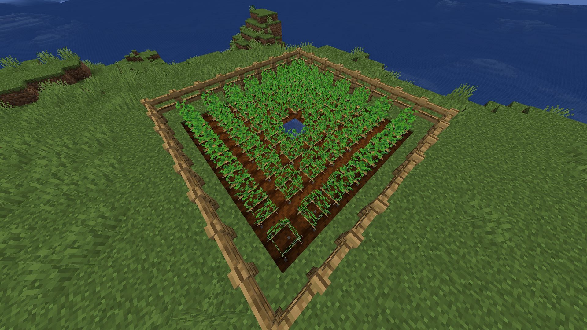 Best layout for crop farms in Minecraft