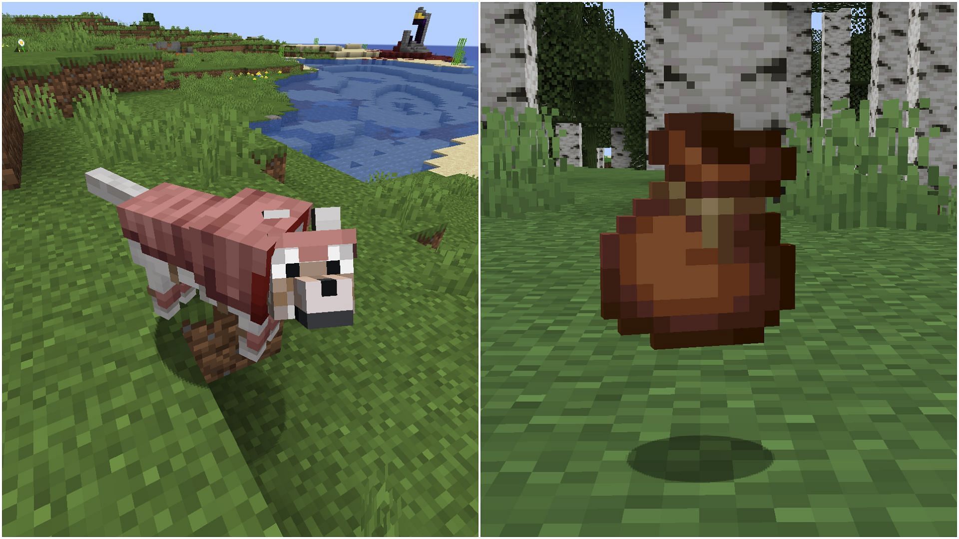 Features like wolf armor and bundles came with Minecraft incremental updates (Image via Mojang Studios)