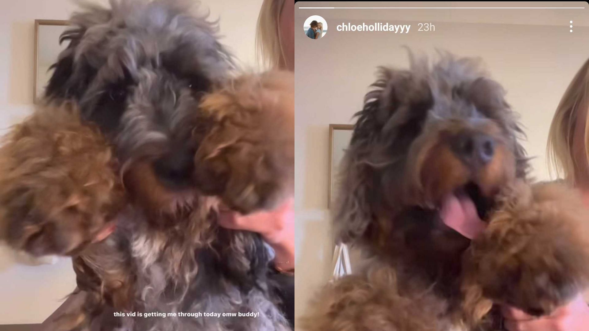 Chloe Holliday shared a loveable video of her dog Coconut