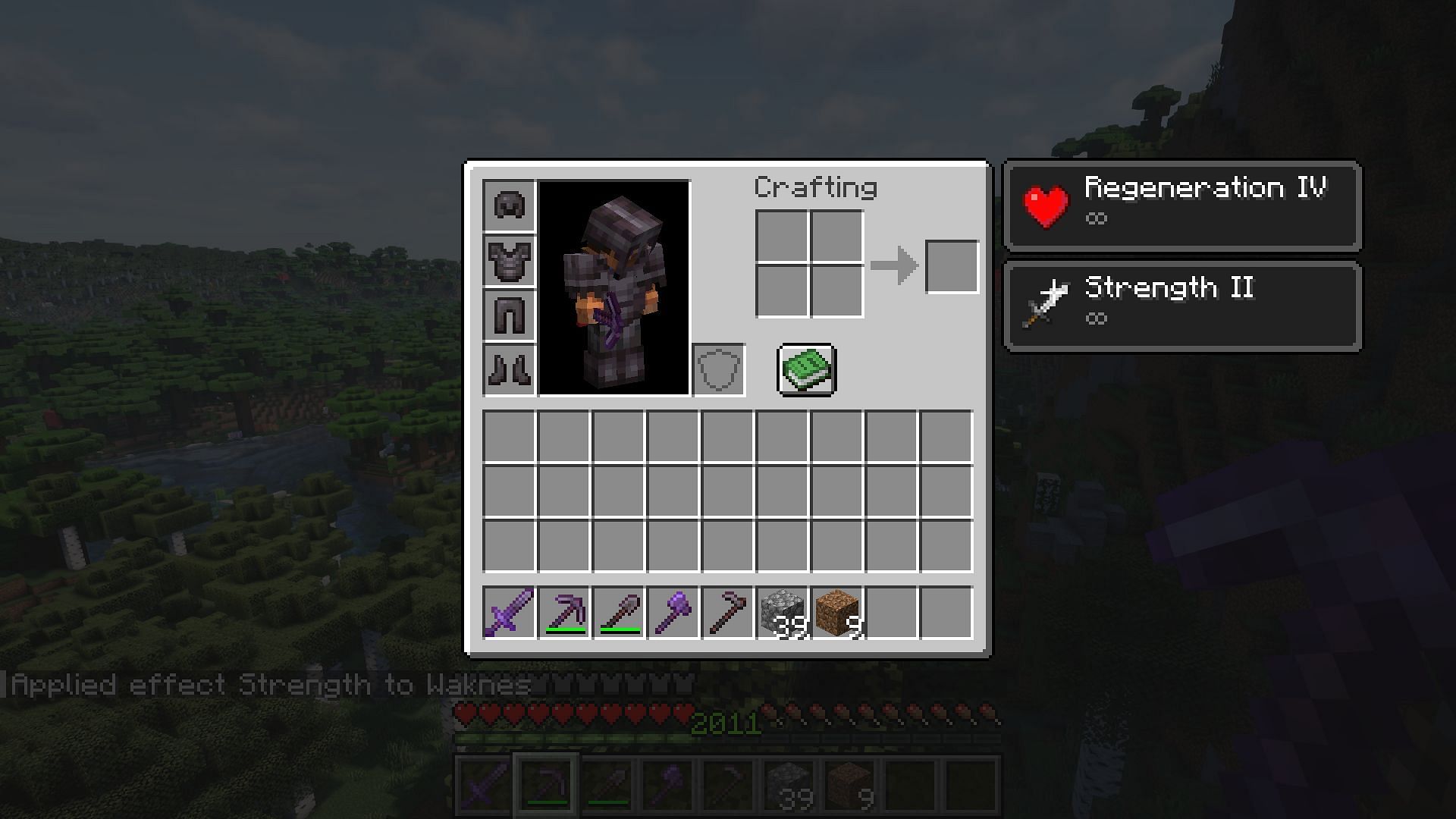 Commands can be used to gain permanent potion buffs (Image via Mojang)