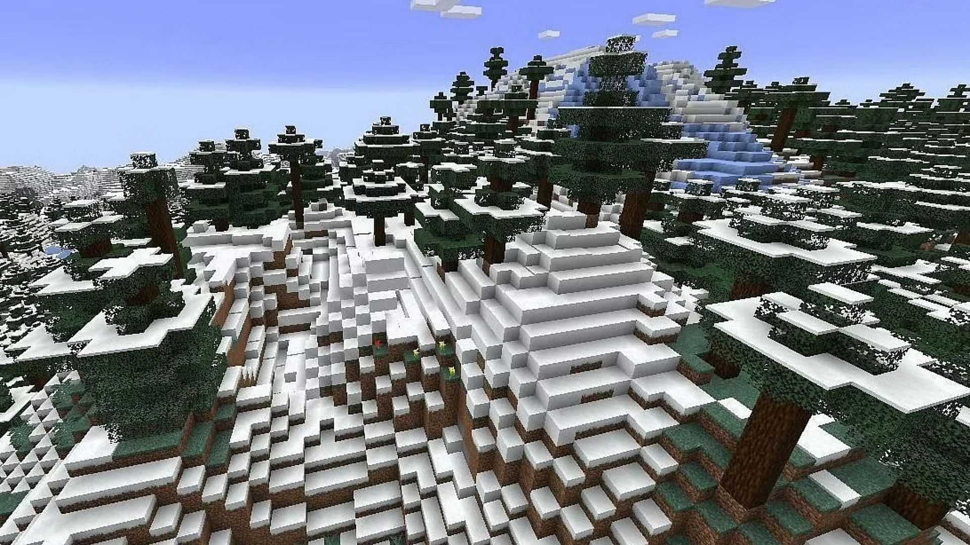 Spruce trees can also be found in colder biomes in Minecraft (Image via Mojang Studios)