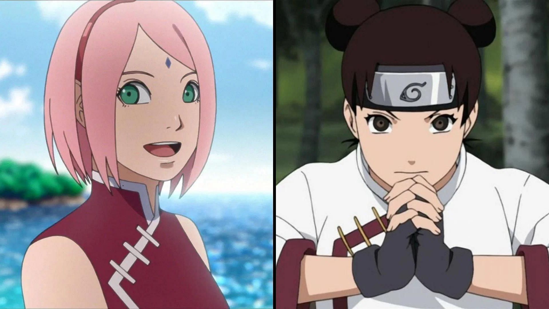 Fanart of Naruto female characters generates hype within the fandom (Images via Studio Pierrot)