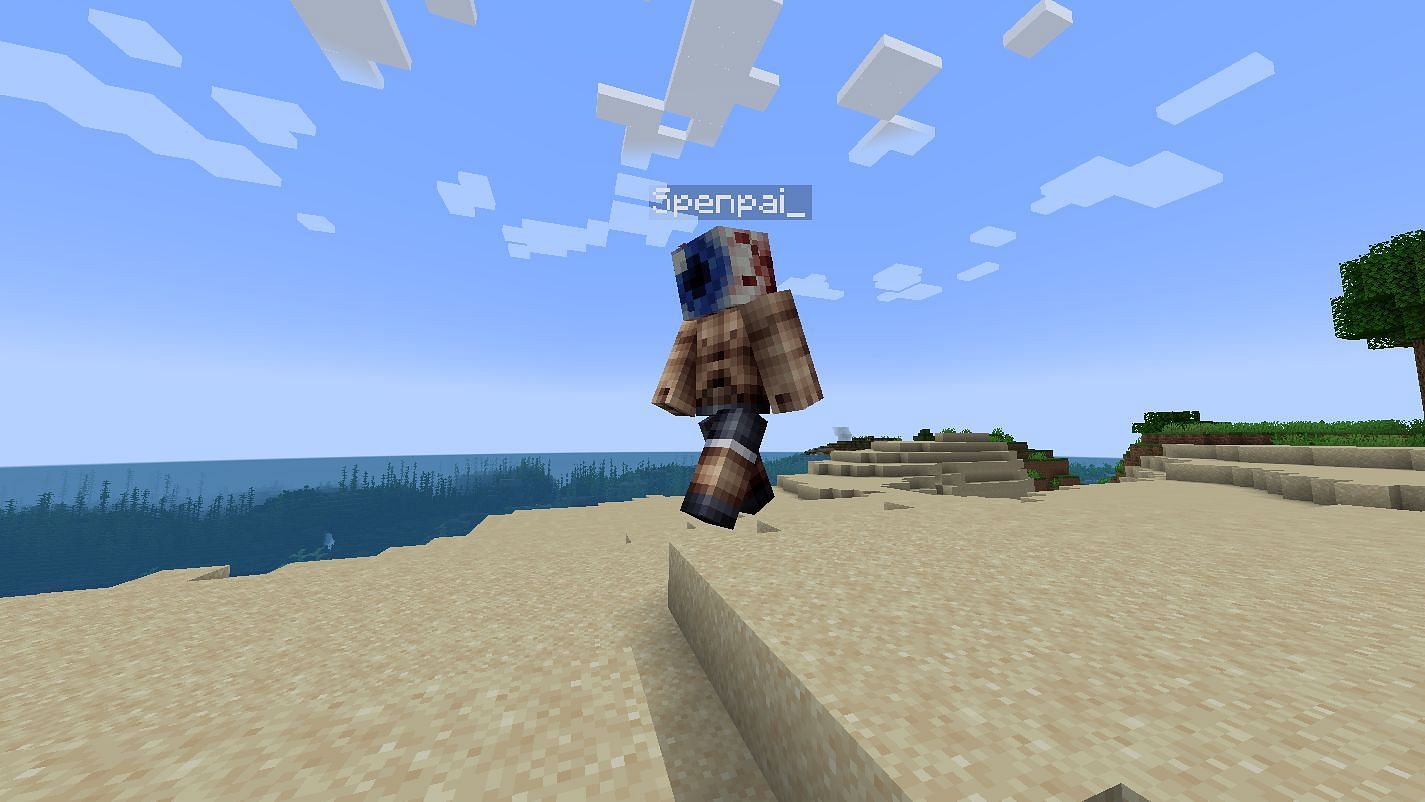 Flashback allows Minecraft players to view themselves similarly to Spectator Mode (Image via Moulberry/Mojang)